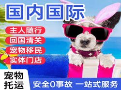 芜湖宣州航空运输国际宠物托运 【国